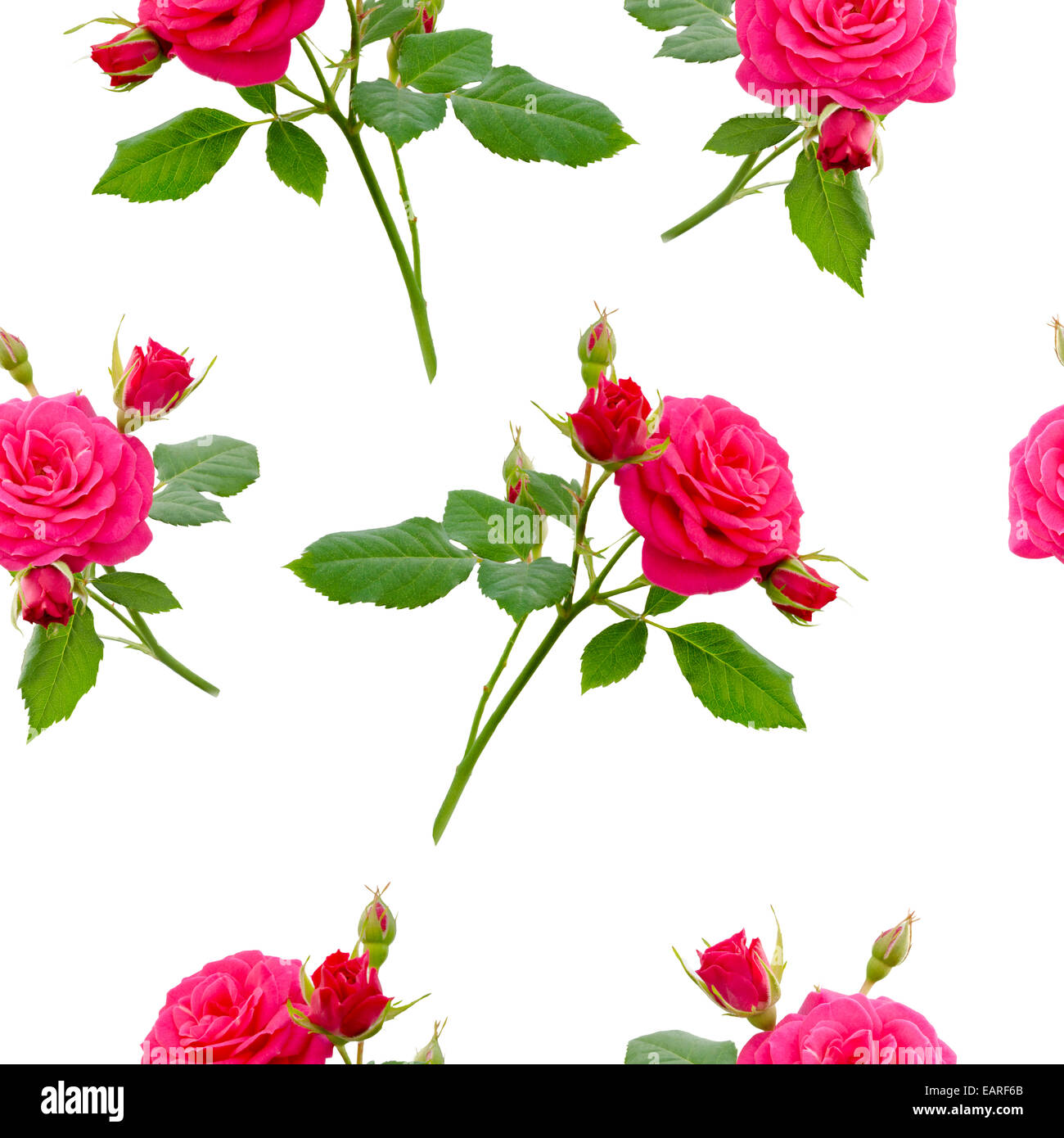 Seamless red rose pattern hires stock photography and images Alamy