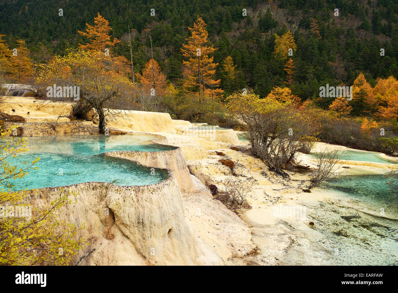Lime terraces with lake in autumnal environment, Huanglong National Park, Sichuan Province, China Stock Photo