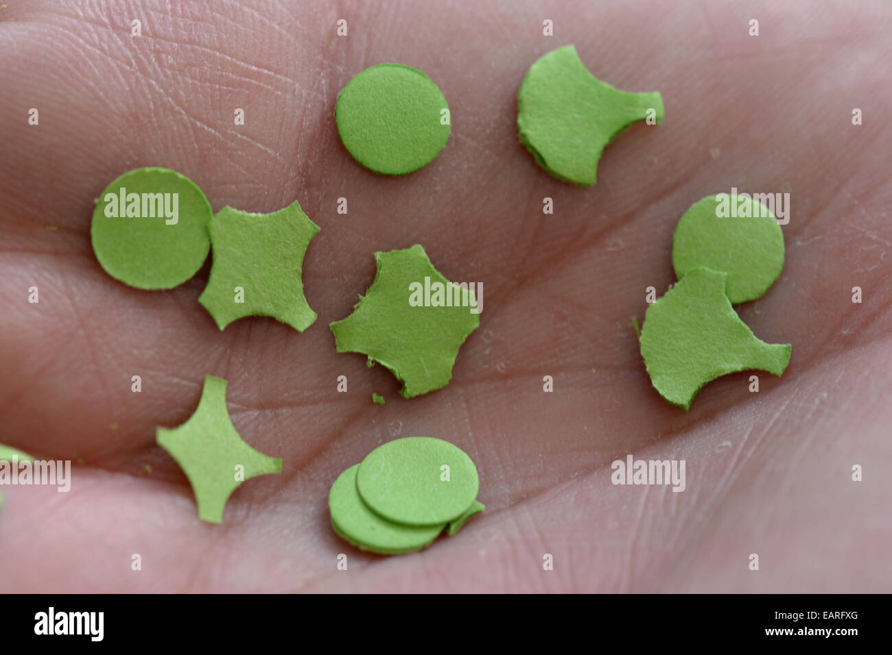 Managing Director Of Kurt Hauser Incorporation Hans Rudolf