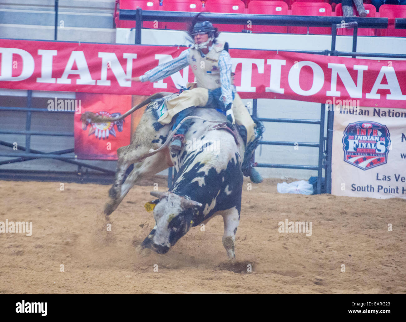 Cowboy Participating in a Bull riding Competition at the Indian