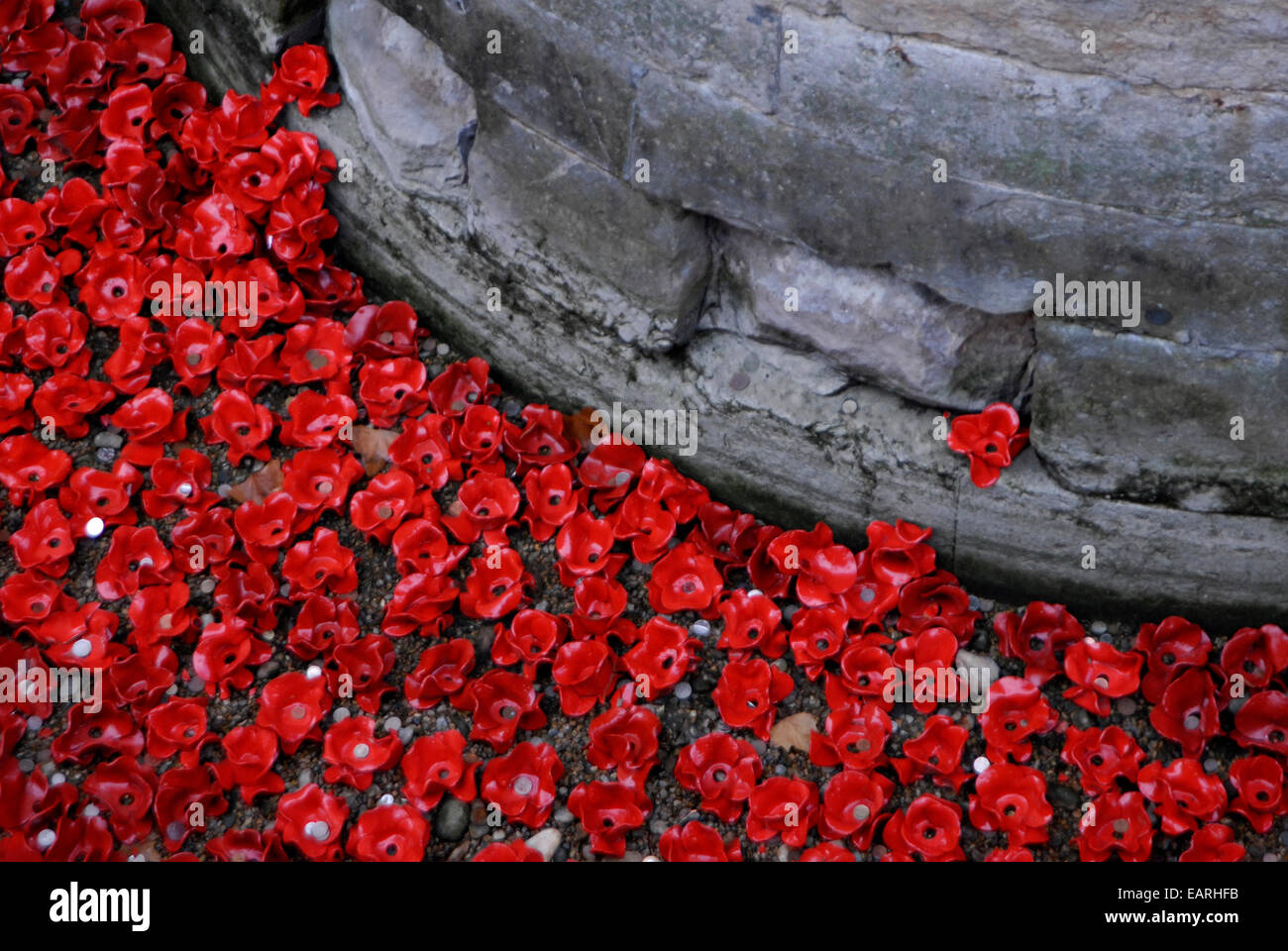 Some of the 888,246 ceramic poppies from the moat  at The Tower of London art installation. Stock Photo