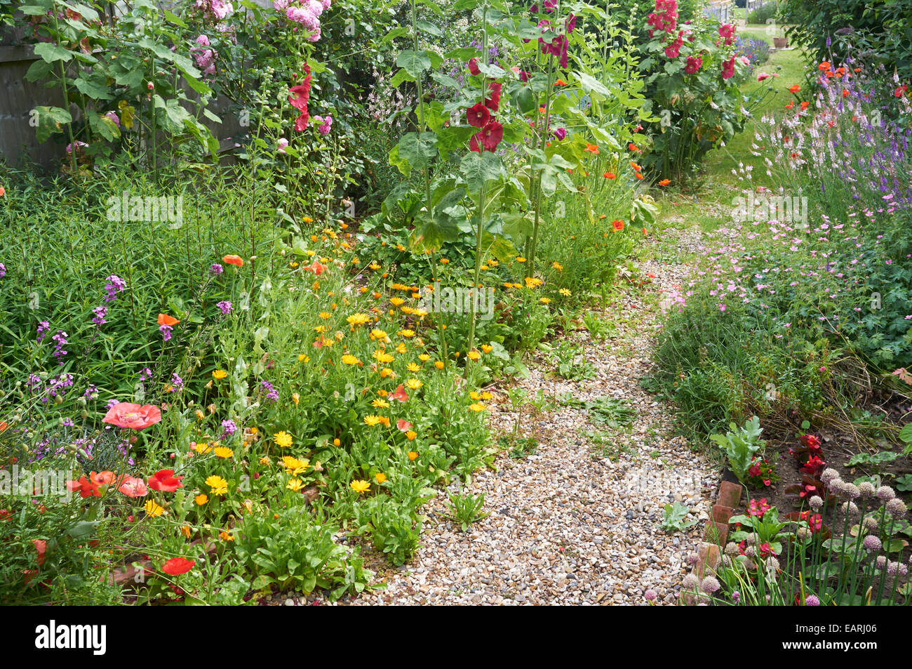 Cottage garden UK Stock Photo