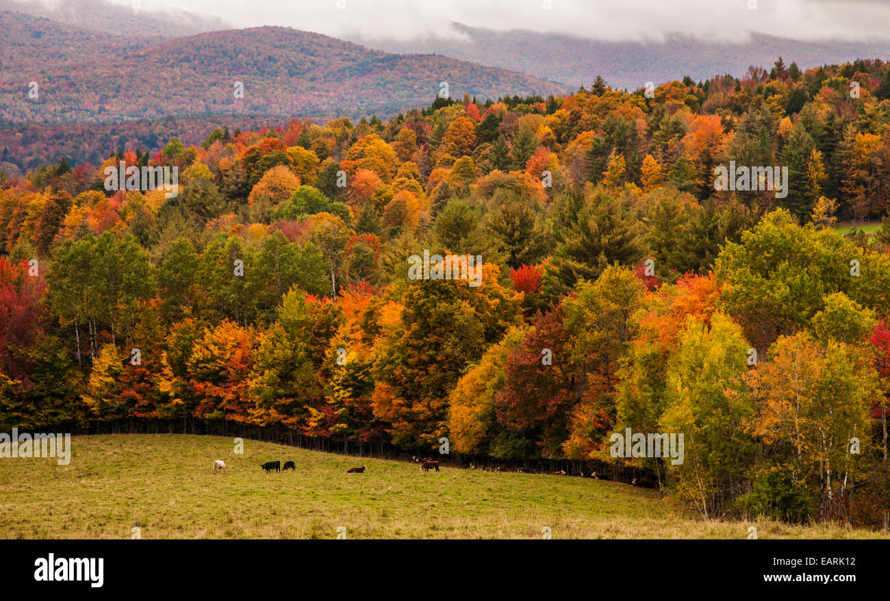 New england fall hi-res stock photography and images - Alamy