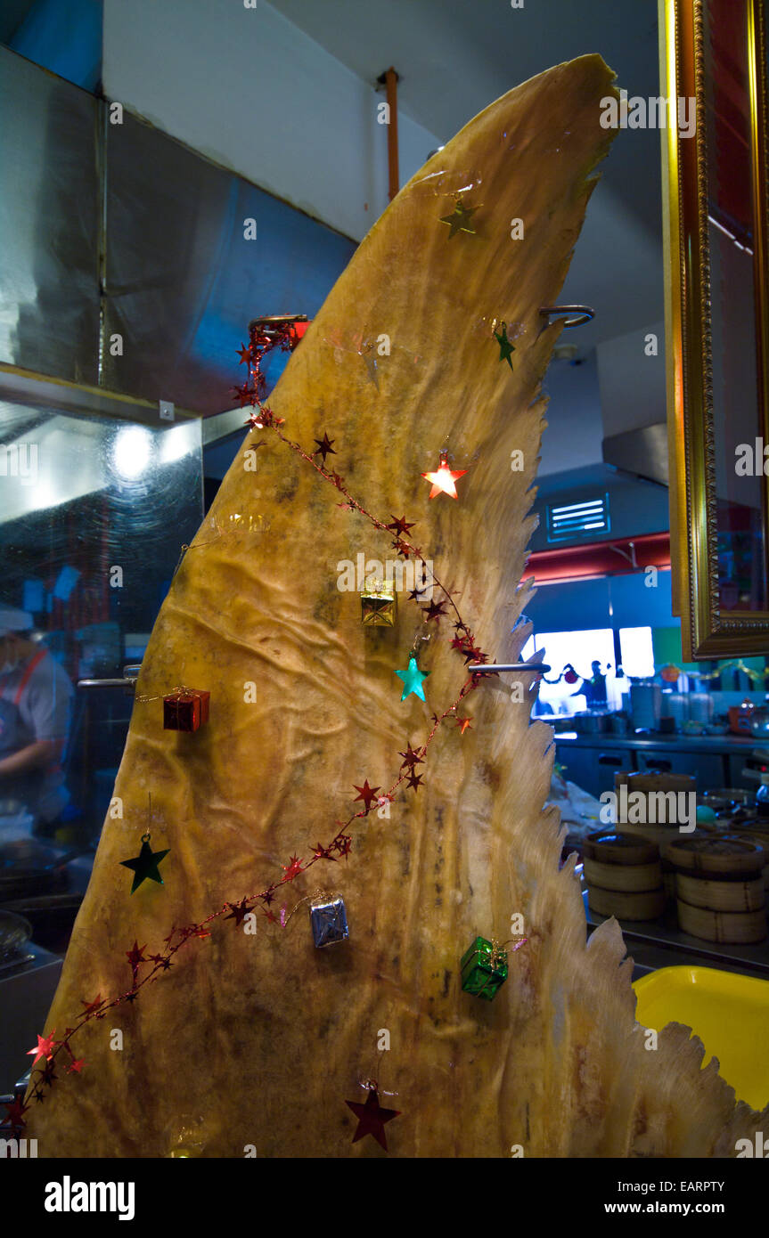 A dried shark fin decorated as a Christmas tree in a mall food court. Stock Photo