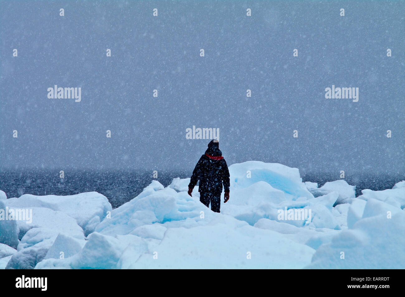 A man hikes in a blizzard on an island shoreline covered in icebergs. Stock Photo