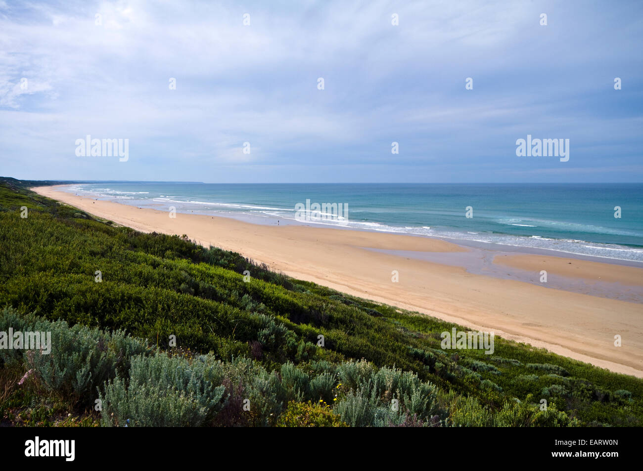 A vast sandy beach fronts Tea Tree scrub on coastal sand dunes. Stock Photo
