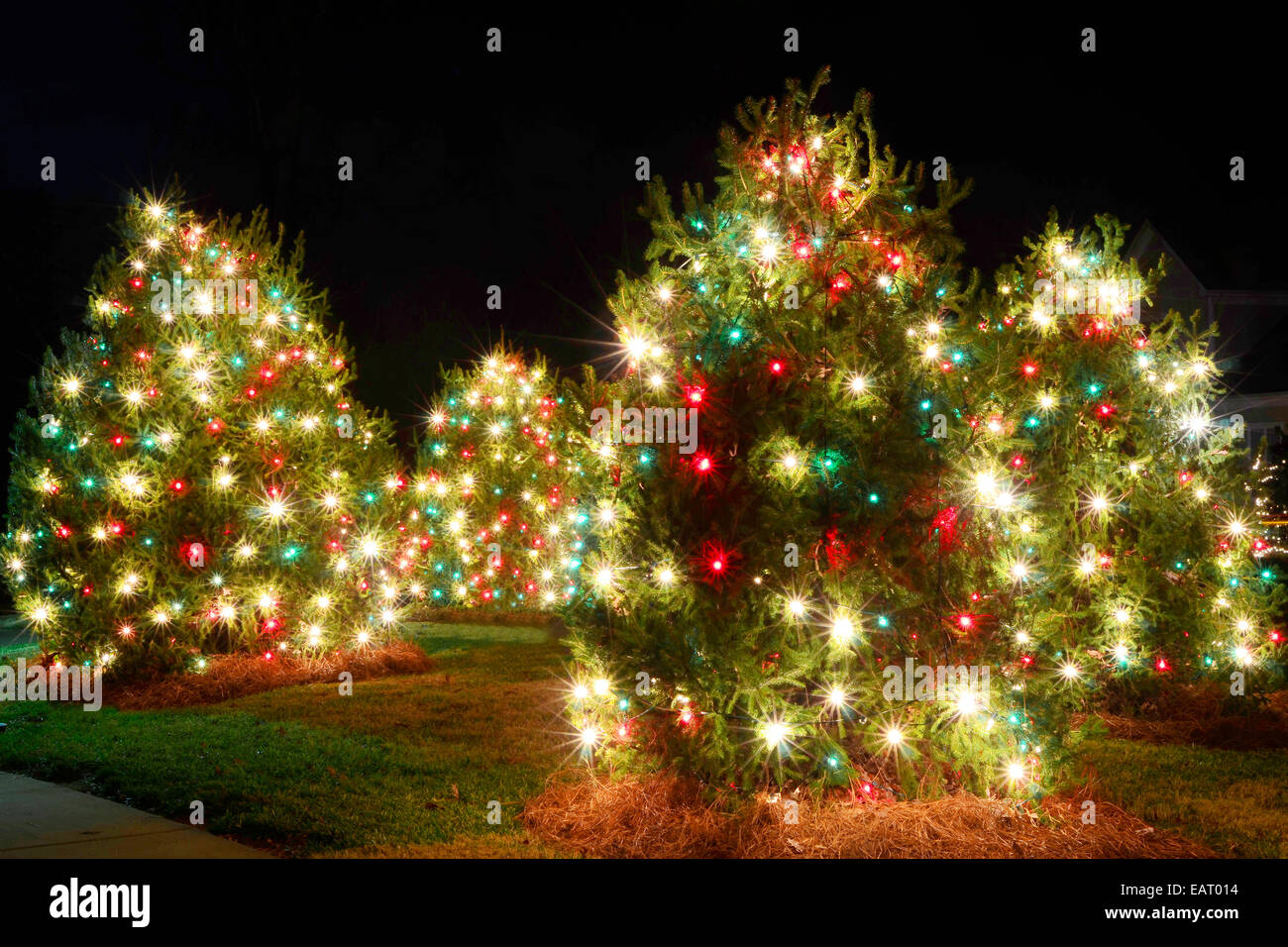 red and white outside christmas lights