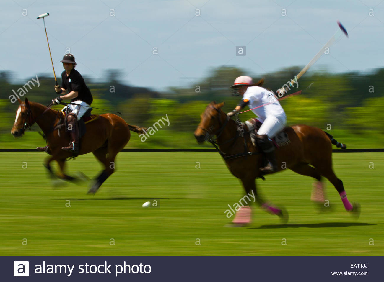 Polo players in motion Stock Photo Alamy