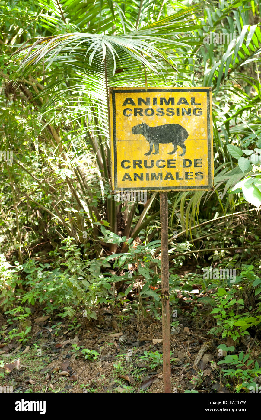 Wildlife Sign in forest Animal Crossing Panama Stock Photo