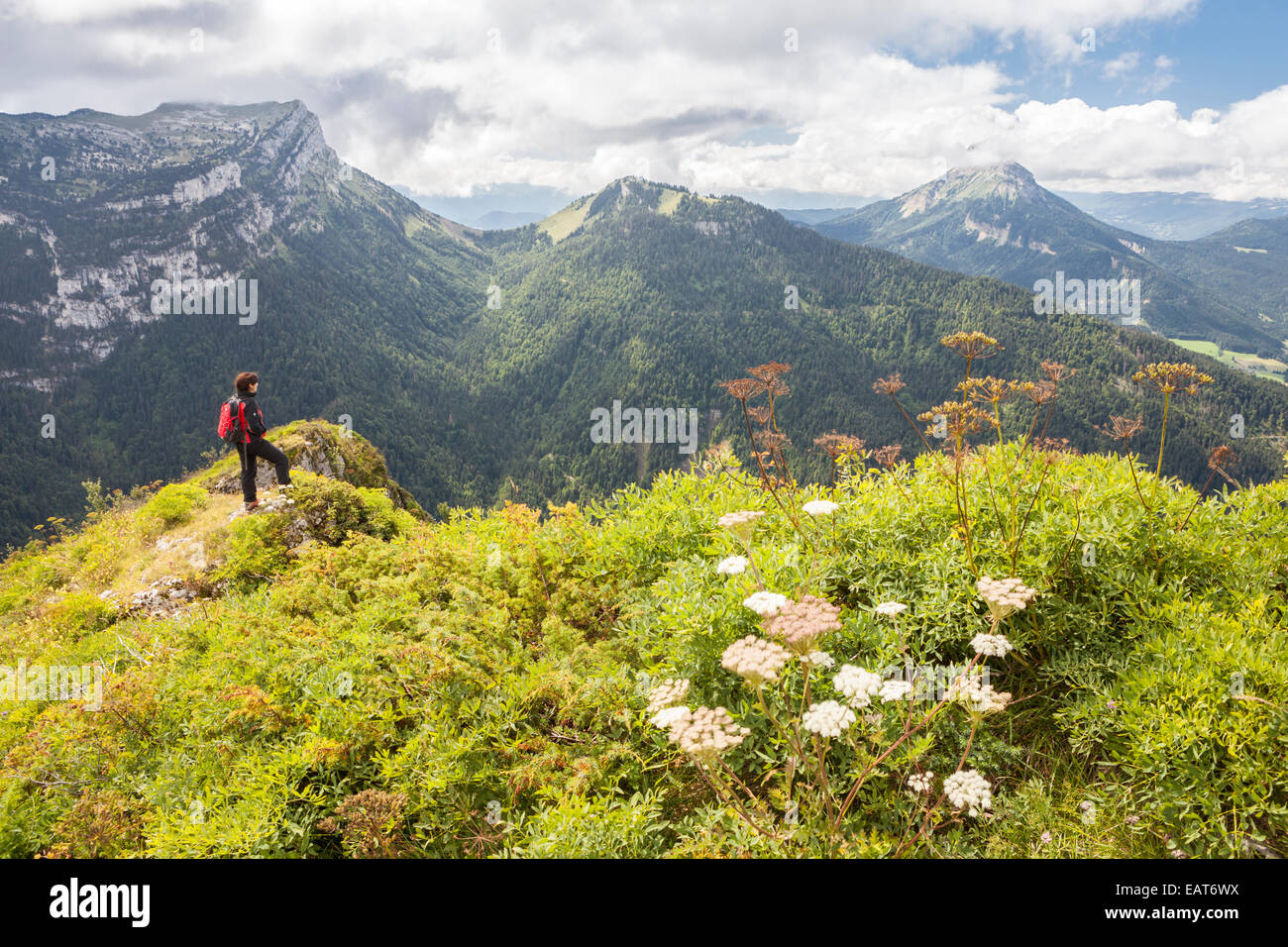 View of the Chamechaude and Dent de Crolles peaks, Parc Naturel de la Chartreuse, Isere, Rhône-Alpes, France Stock Photo