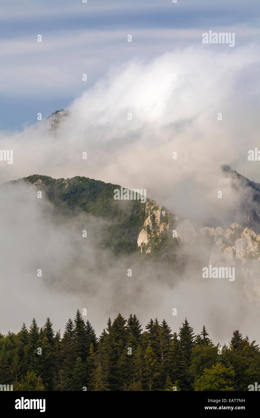 Around Saint Pierre d'Entremont, Parc Naturel de la Chartreuse, Savoie, RhôneAlpes, France