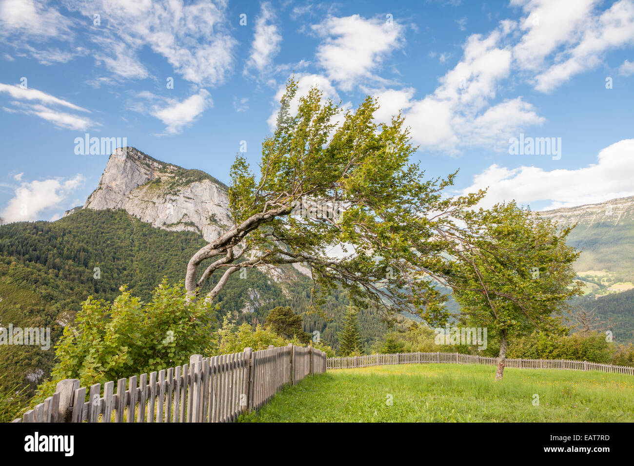 Around Saint Pierre d'Entremont, Parc Naturel de la Chartreuse, Savoie, RhôneAlpes, France