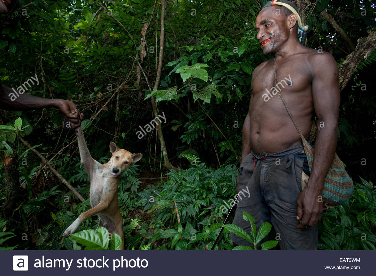 Khat Chewing Stock Photos & Khat Chewing Stock Images Alamy