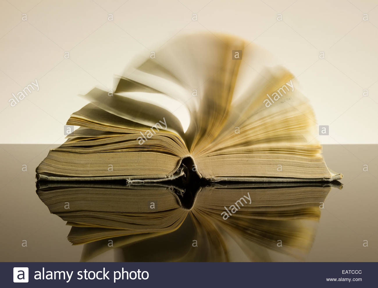 picture of turning pages