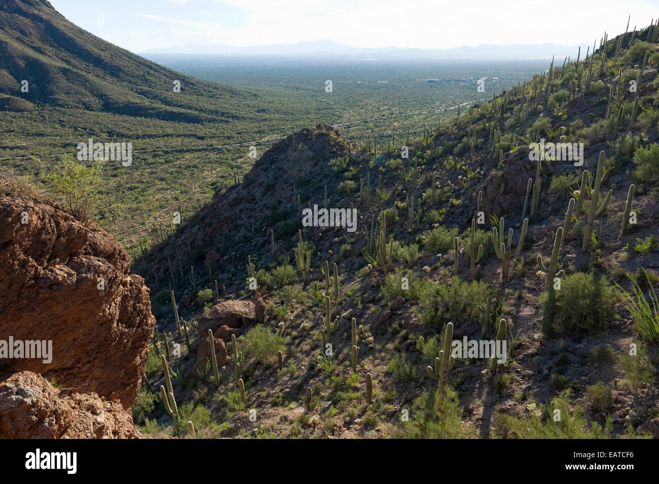 Gates Pass is a mountain pass along the crest of the Tucson Mountains. Near Saguaro National Park West in the Sonoran Desert, AZ Stock Photo