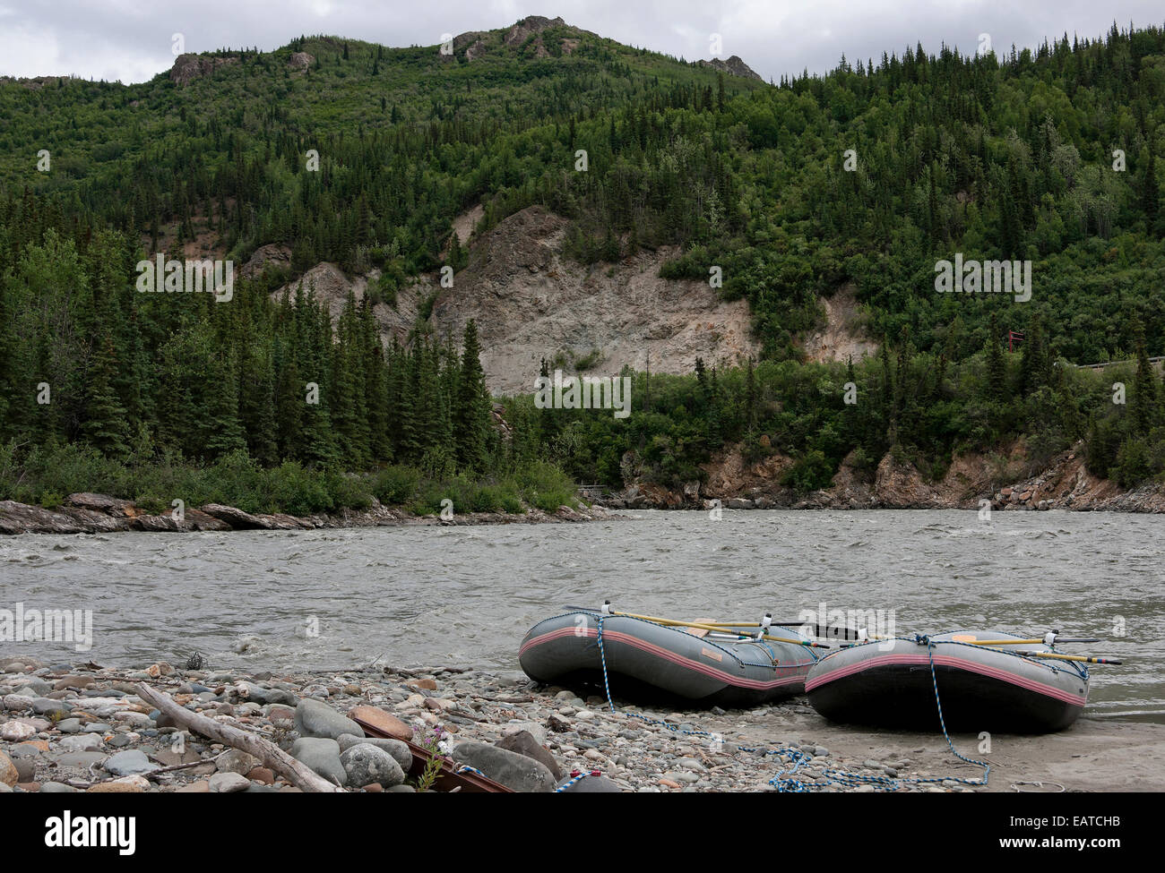Wild water rafting in Denali - Alaska Stock Photo