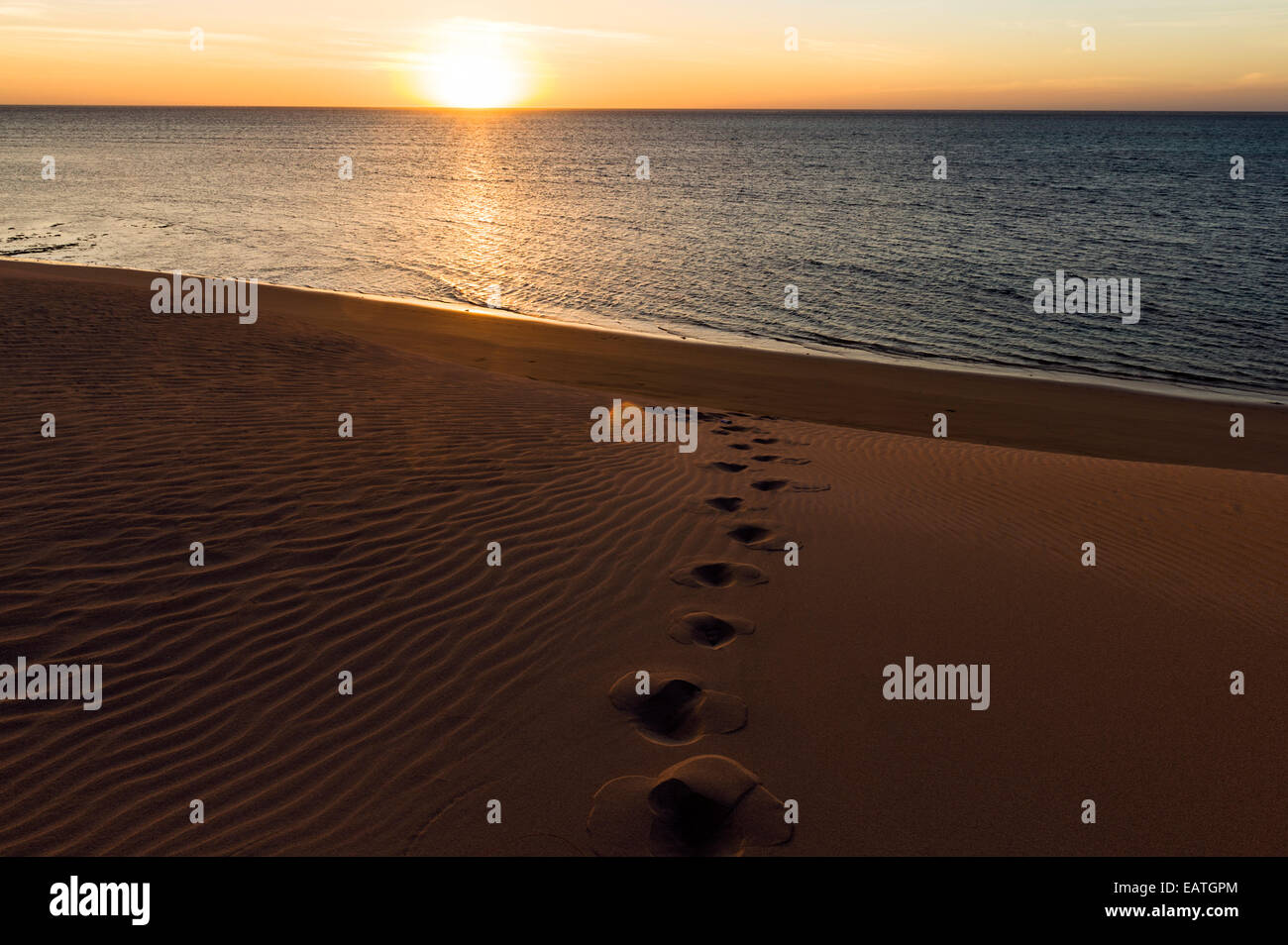 Footprints lead down a sand dune at sunset to a deserted ocean beach. Stock Photo