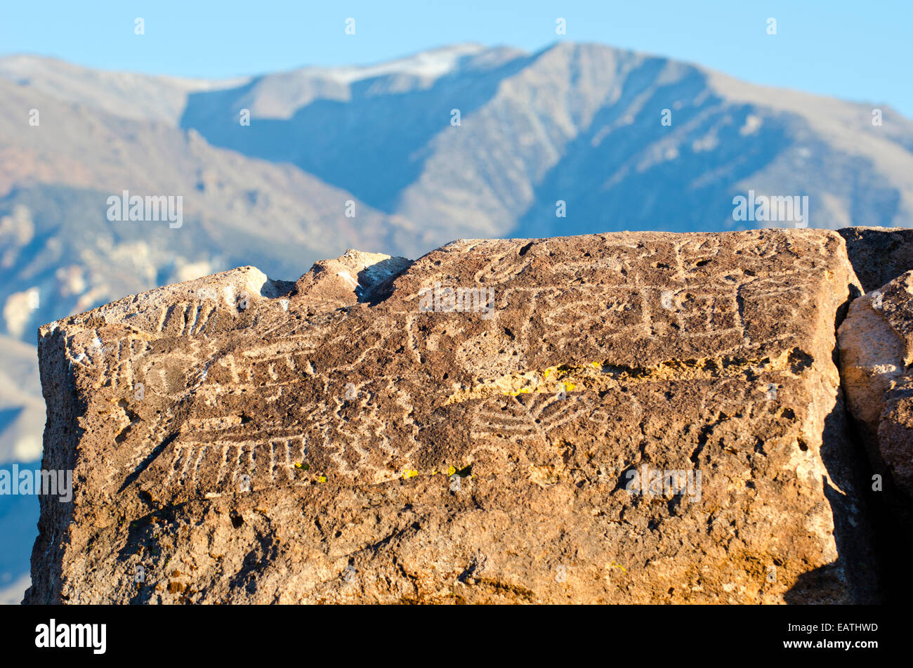 Sacred Owens Valley Paiute petroglyph site and the White Mountains ...