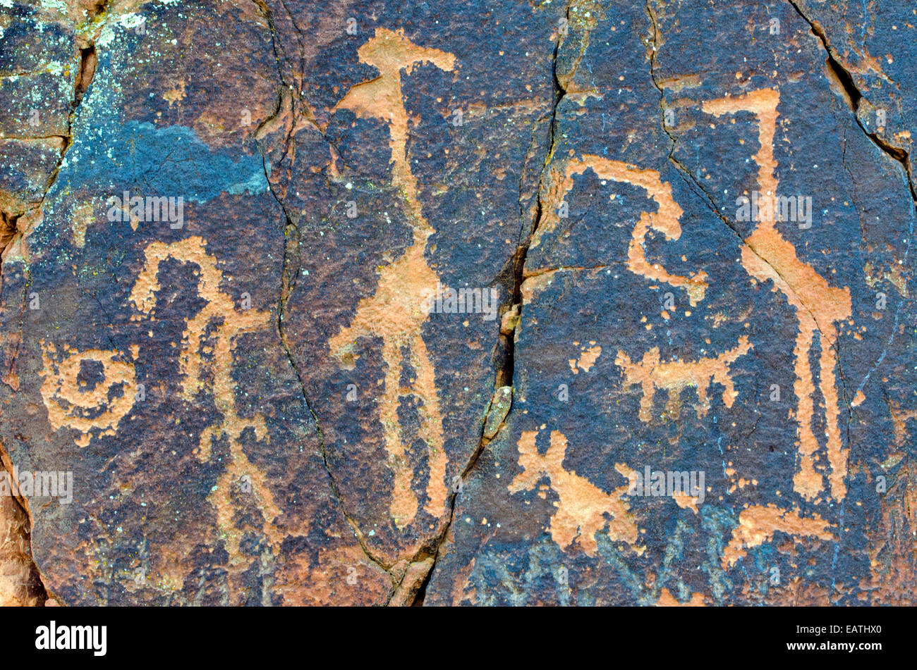 Zoomorphic Sinagua petroglyphs at V Bar V Heritage Site. Stock Photo