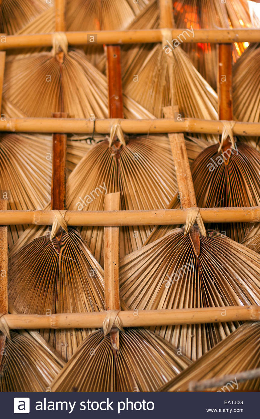 Thatched Roof Palm Fronds High Resolution Stock Photography and Images