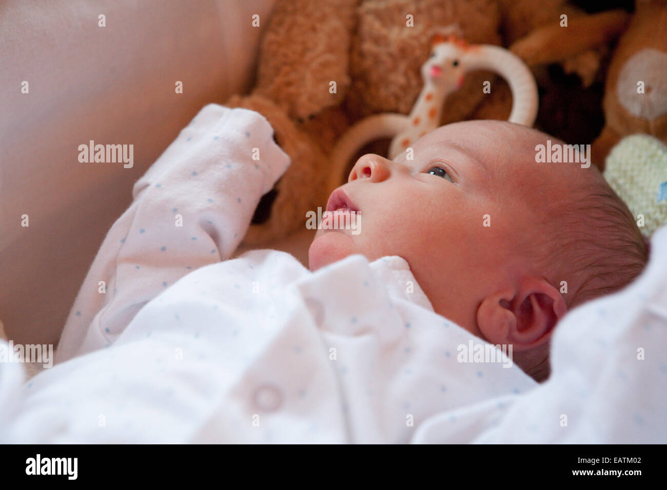 Baby in cot with toys Stock Photo Alamy