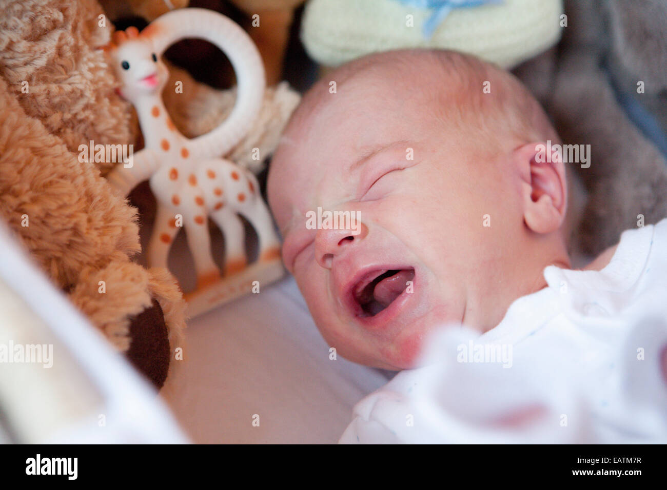 Baby crying in cot Stock Photo Alamy