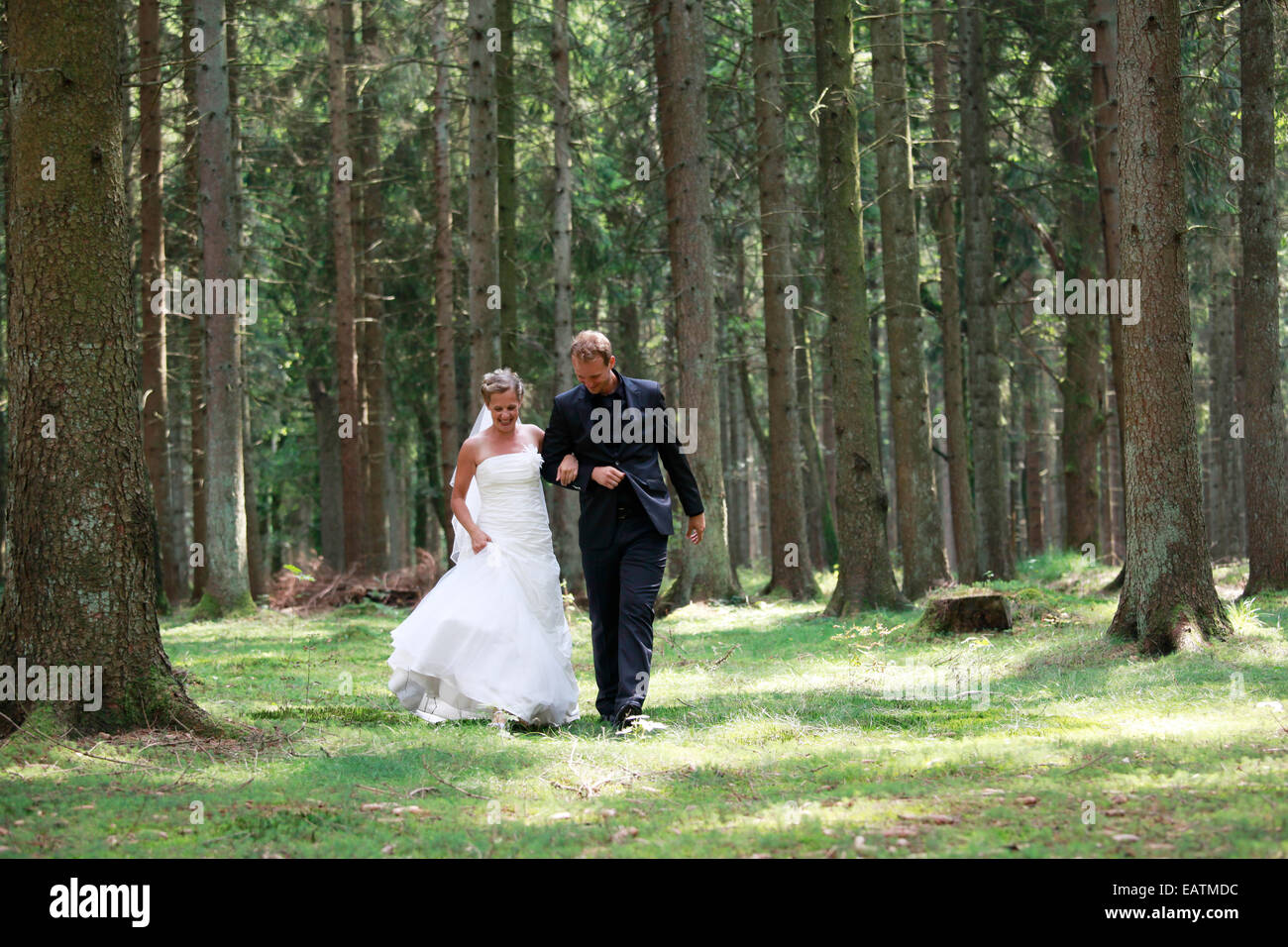 bride and groom shooting at the wedding in the forest Stock Photo - Alamy