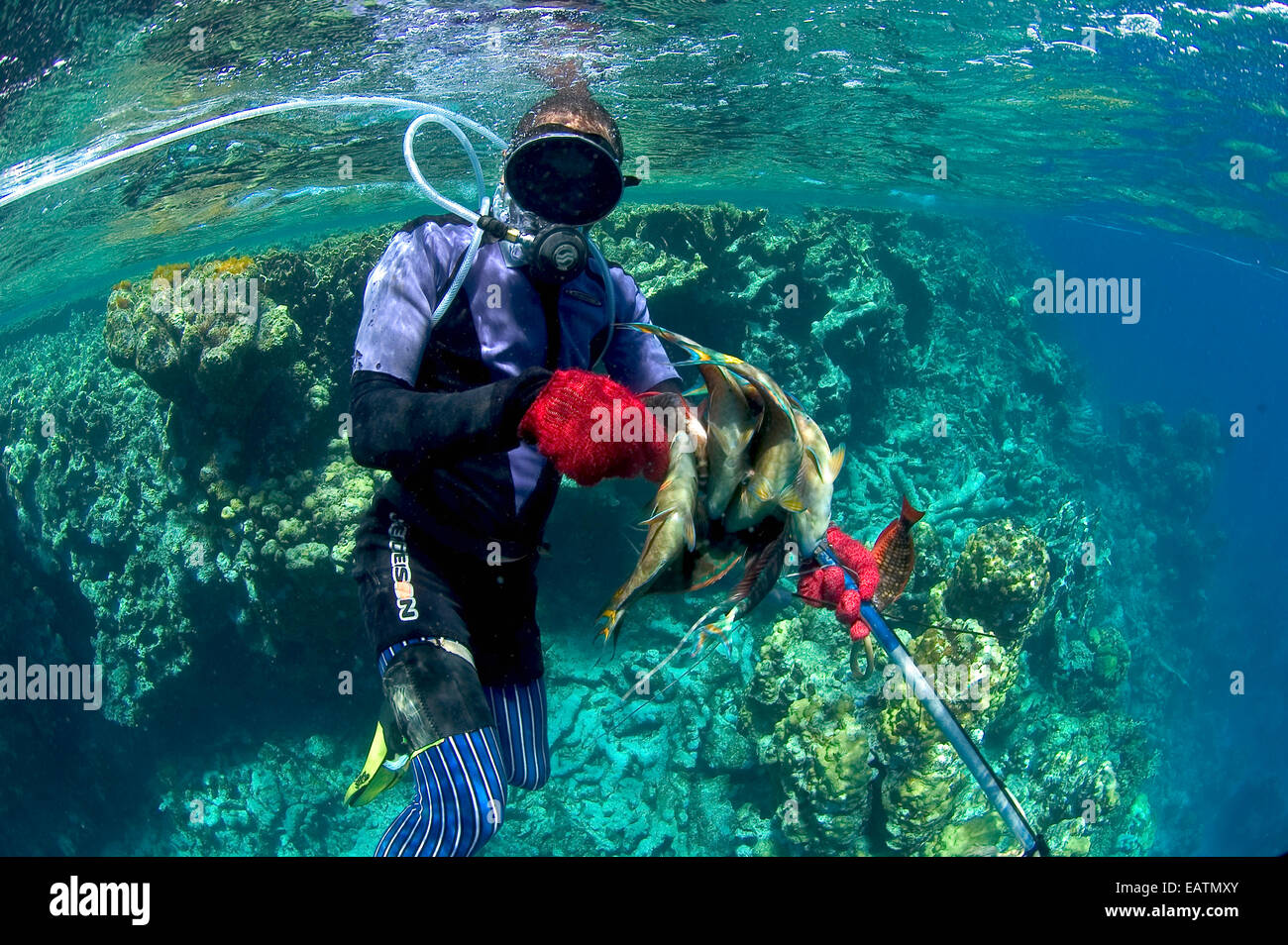 Dominican fisherman fishing in the Silver Bank Sanctuary. Stock Photo