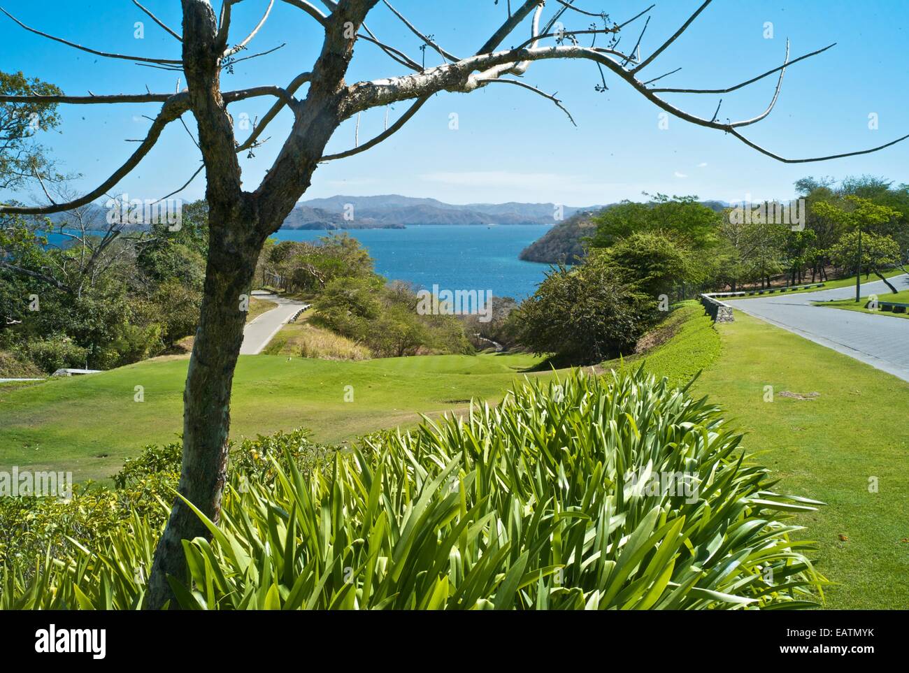 A golf course on Peninsula Papagayo Stock Photo Alamy A golf course on Peninsula Papagayo Stock Photo Alamy