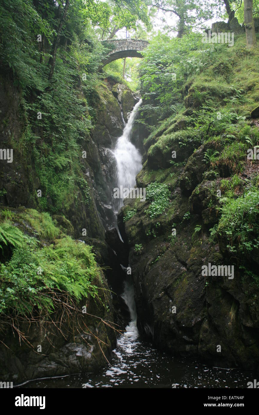 A large waterfall in the lake districts called Aire force. Stock Photo