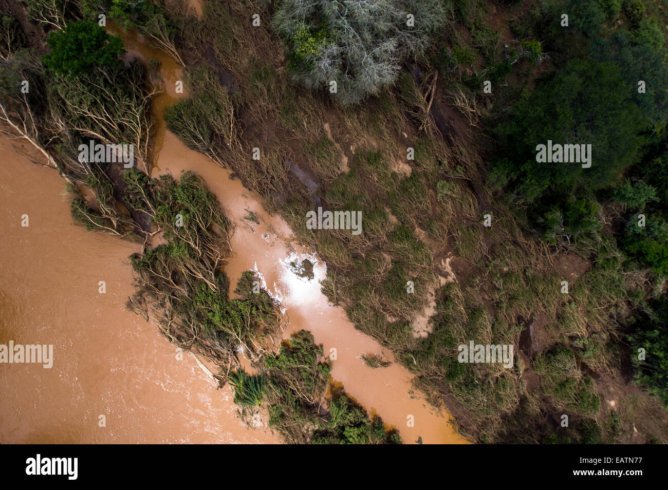 Flood water and raging rivers compress grasslands and push over trees. Stock Photo