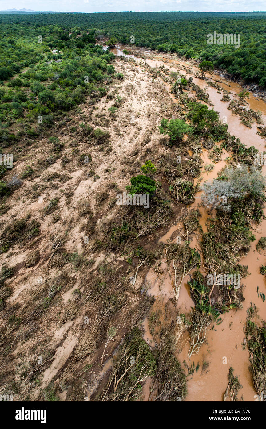 A flooded river carves it's way through a forest causing devastation. Stock Photo