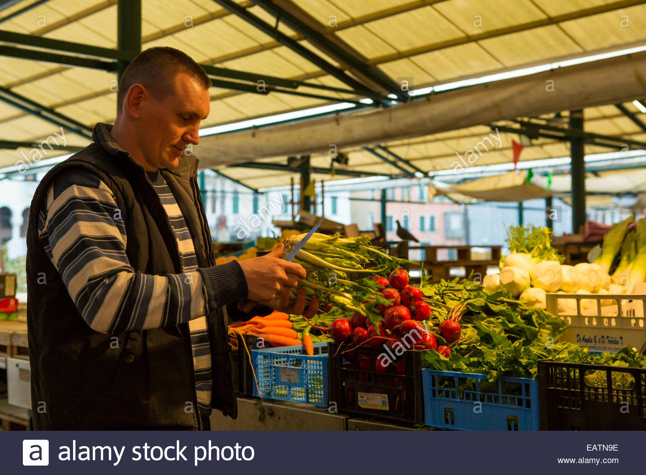 A vendor of vegetables readying for a busy day at the Rialto market. Stock Photo