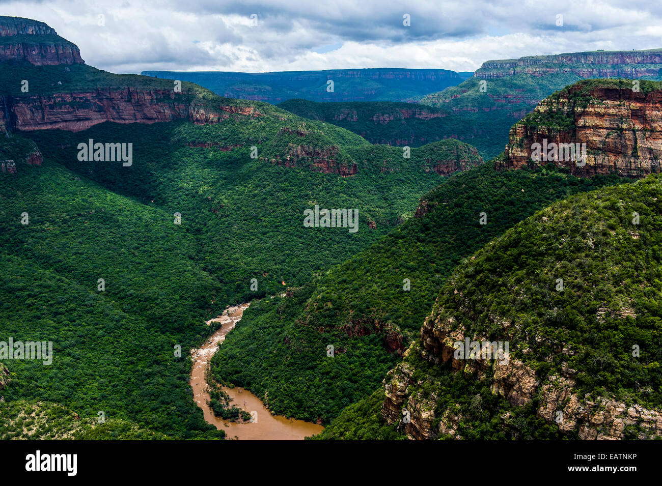 A river carves its way through a gorge shrouded in primeval forest. Stock Photo