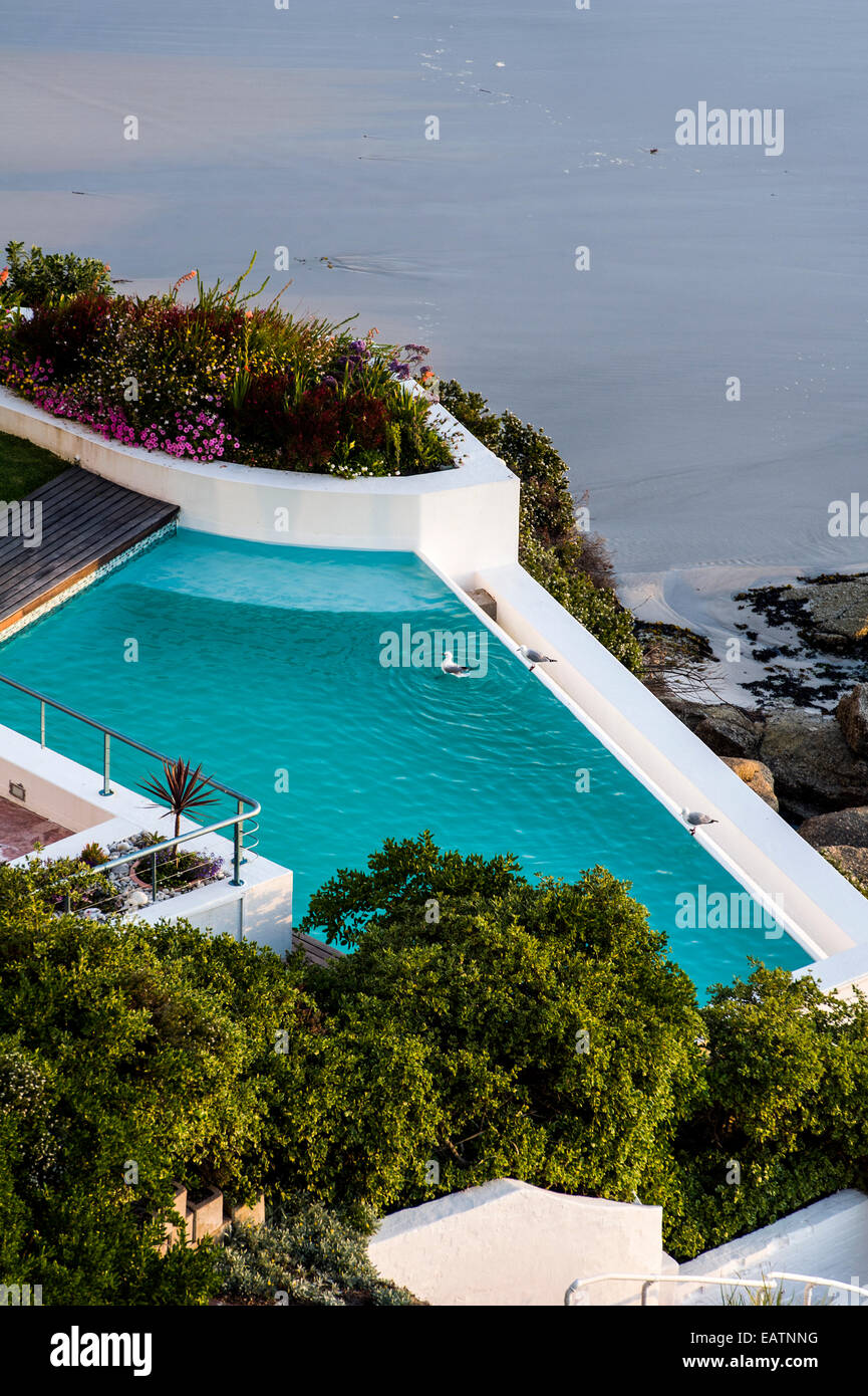 Sea gulls swim in a cliff top swimming pool overlooking the ocean. Stock Photo