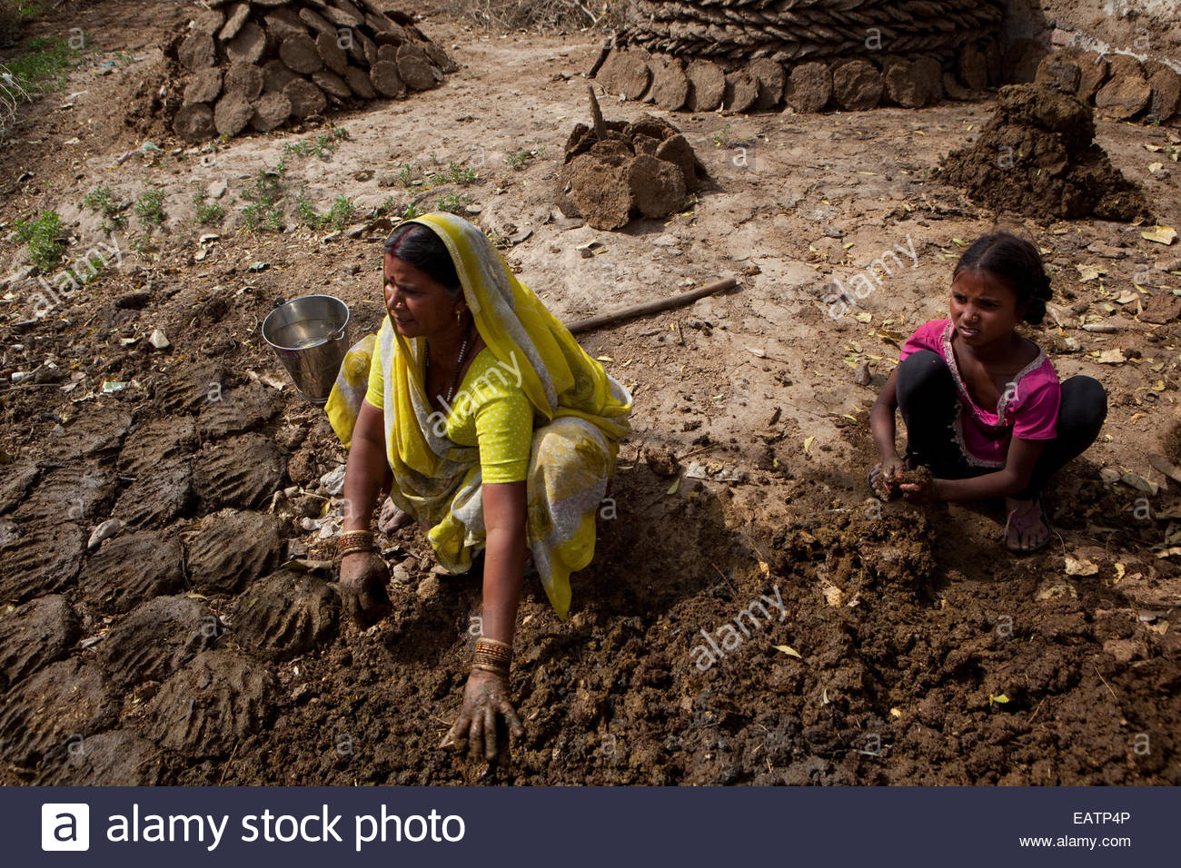 Cow Patties Stock Photos & Cow Patties Stock Images Alamy