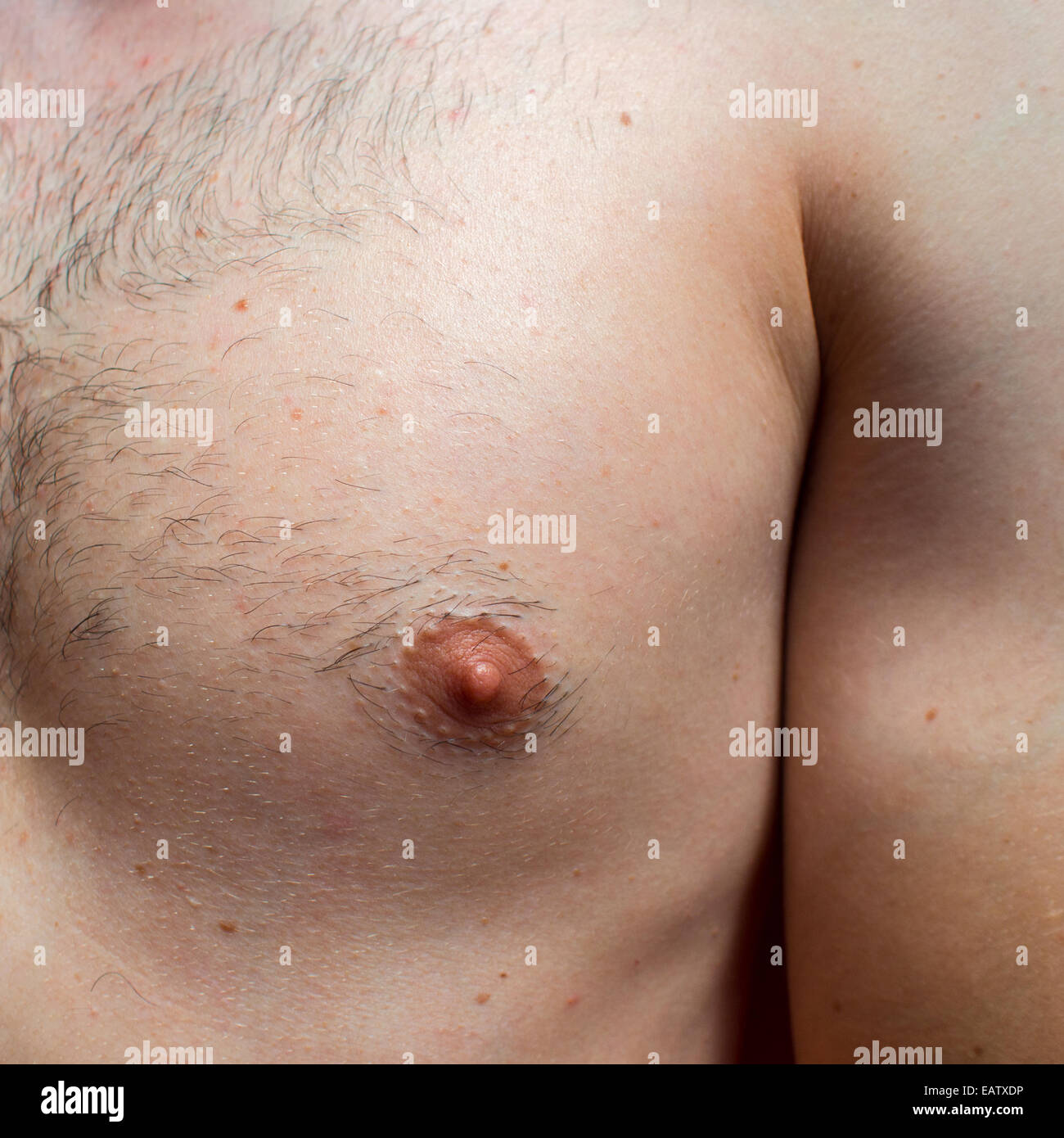Closeup on man nipple with some body hair Stock Photo