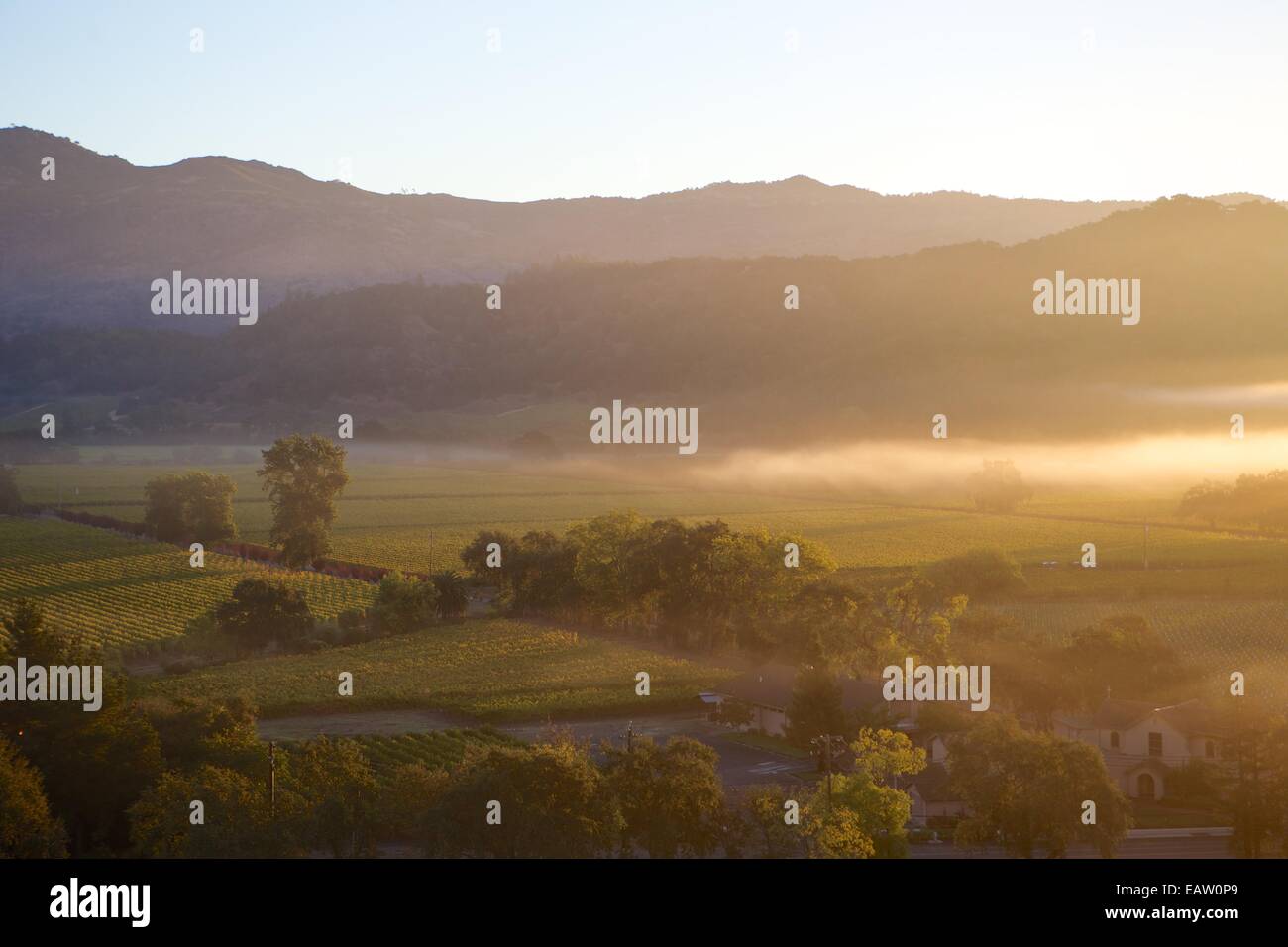 Hot air ballooning in the Napa Valley, California's famous wine country. Stock Photo