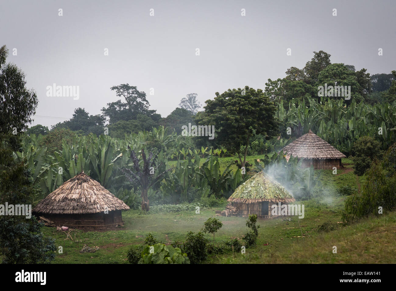 Ethiopian highlands mountain scenery with tribal huts Stock Photo