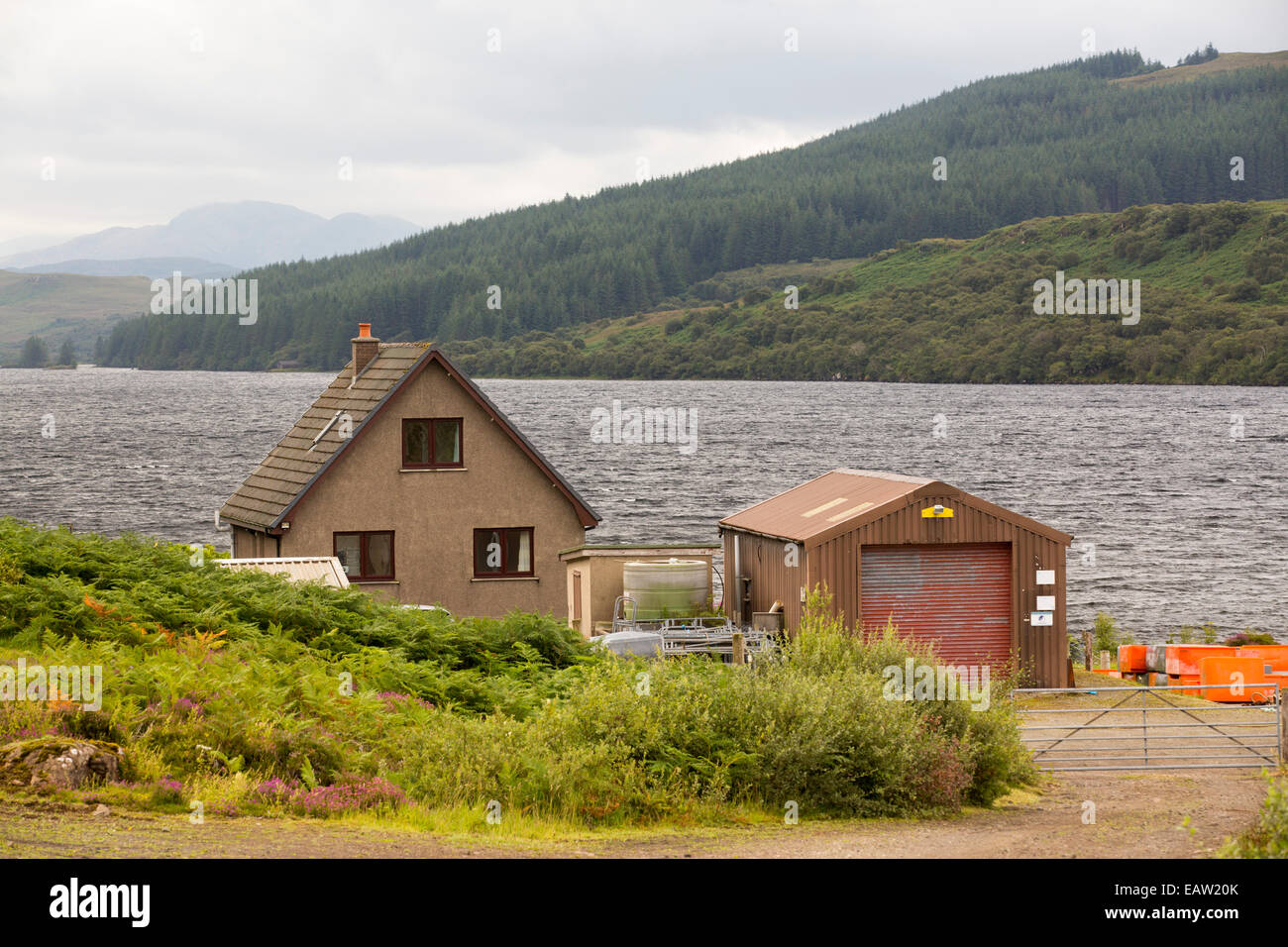 Loch Frisa on the Isle of Mull, Scotland, UK. Stock Photo