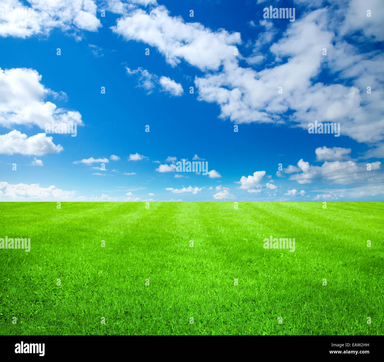 green grass and blue sky Stock Photo - Alamy