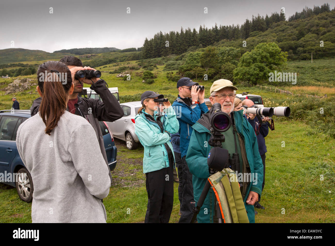An Isle of Mull Wildlife tour showing the islands wildlife to tourists, Isle of Mull, Scotland, UK. Stock Photo