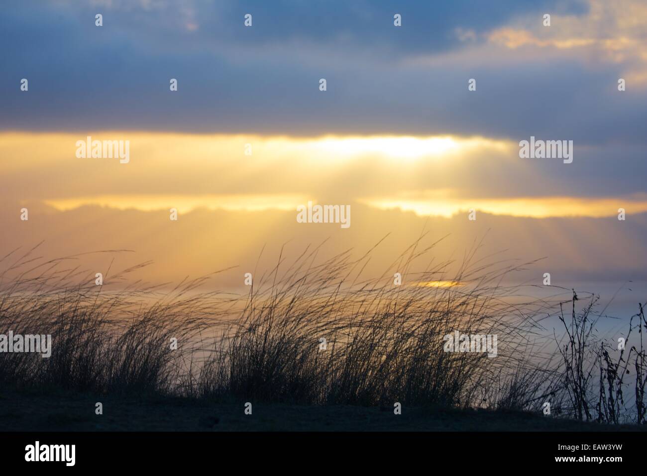 Sunrise over the East Bay hills.  A beautiful sunrise over the East Bay Area taken while camping at Angel Island State Park Stock Photo