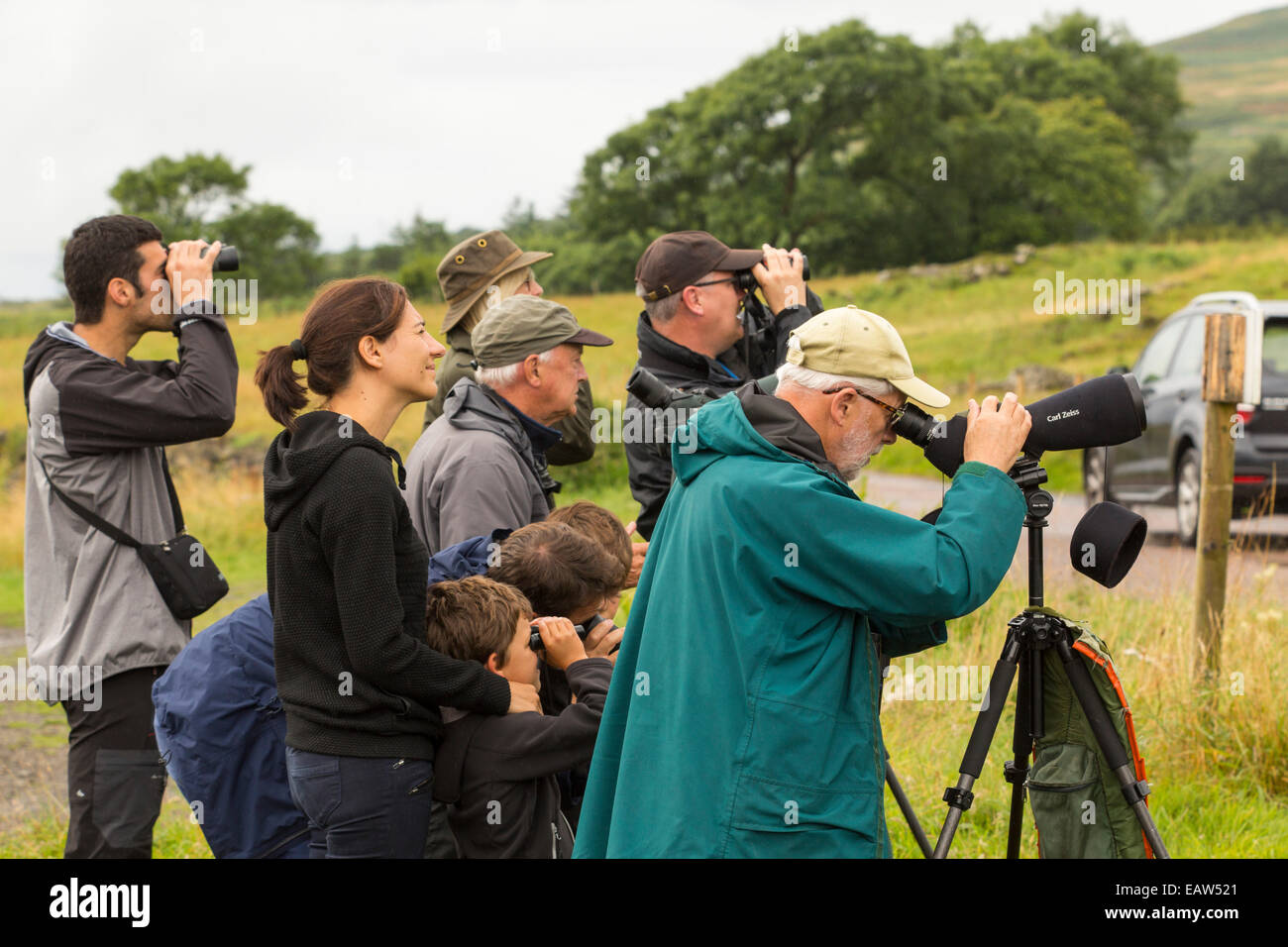 A wildlife tour company showing wildlife to tourists on the Isle of Mull, Scotland, UK. Stock Photo