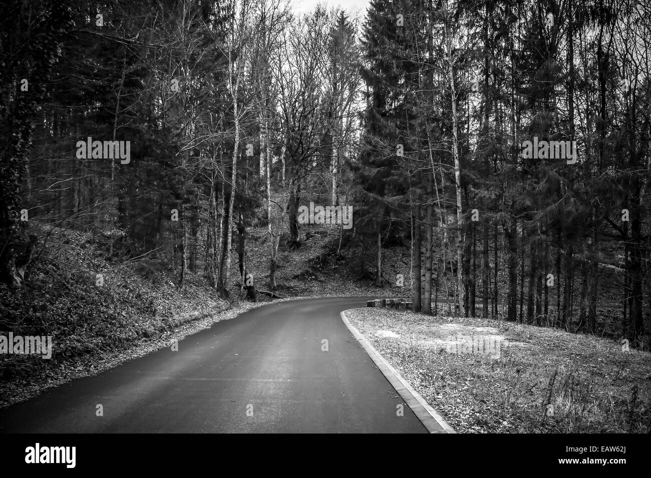 Autumn field road in Black and White Stock Photos & Images - Alamy