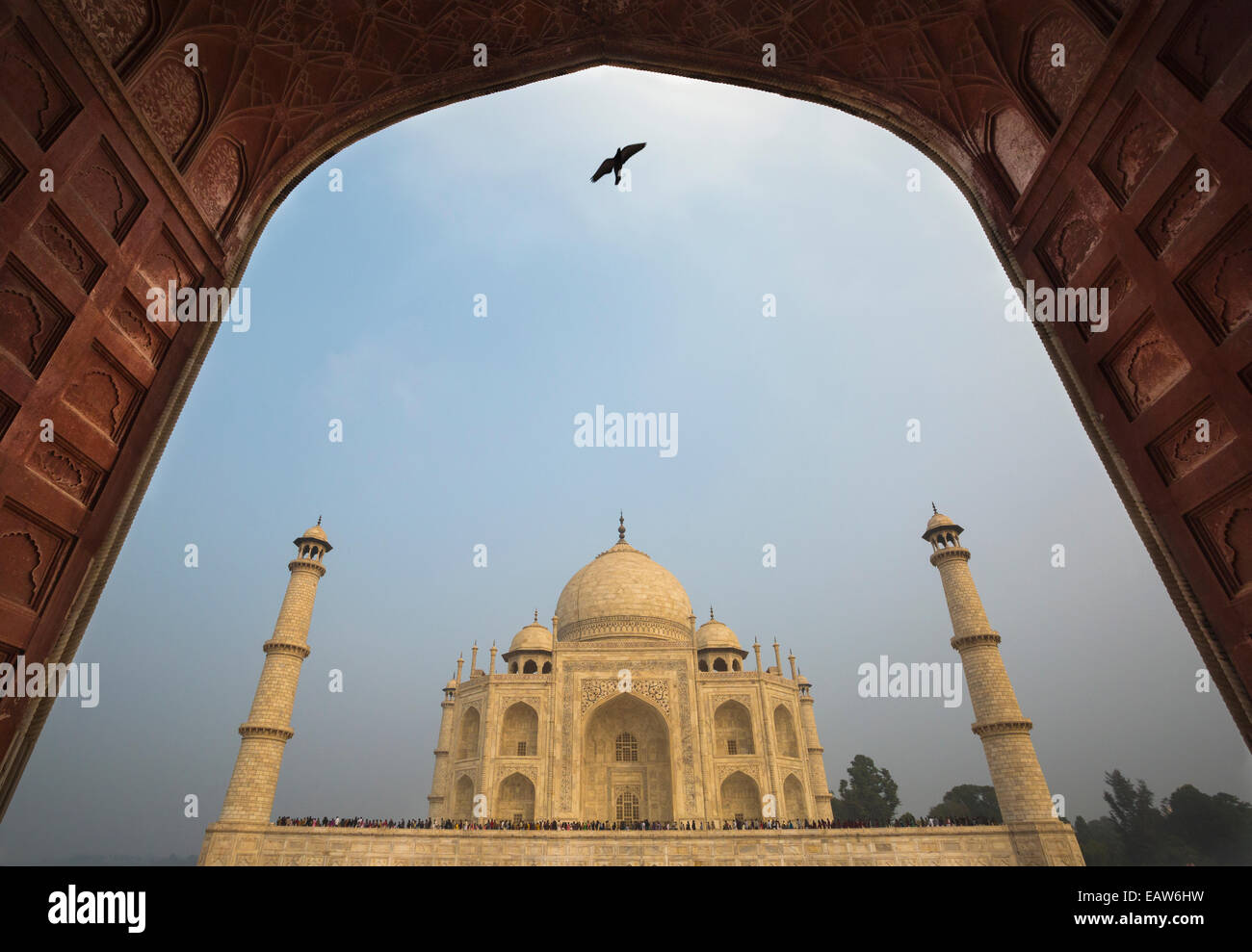 A bird flying near the Taj Mahal, a monument built by Mughal emporer Shah Jahan in honor of his thrid wife in Agra India. Stock Photo