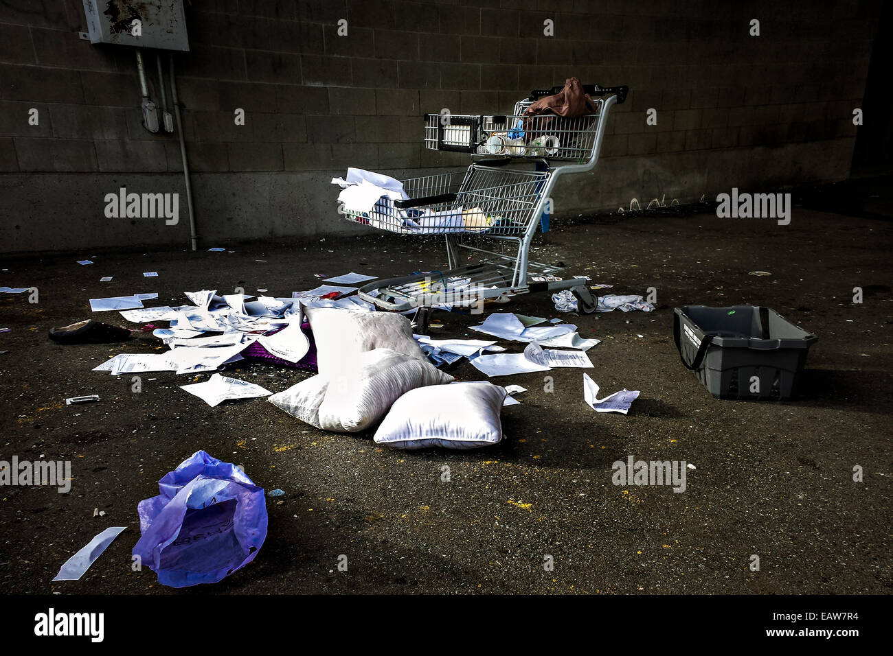 Shopping cart and waste trash rubbish dumped tip an illegal social