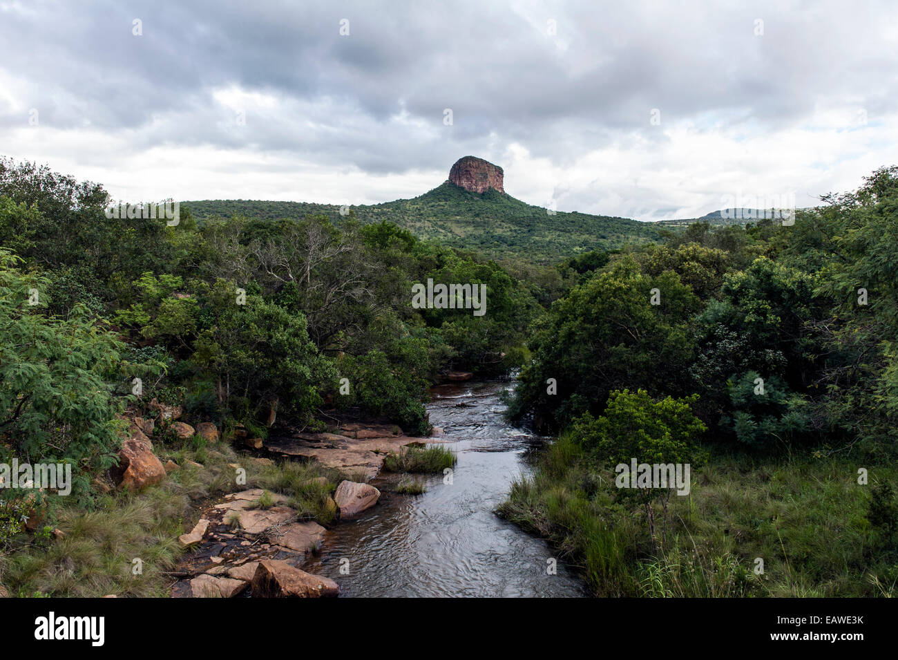 A river cuts through thick scrub and forest beneath a mountain peak. Stock Photo
