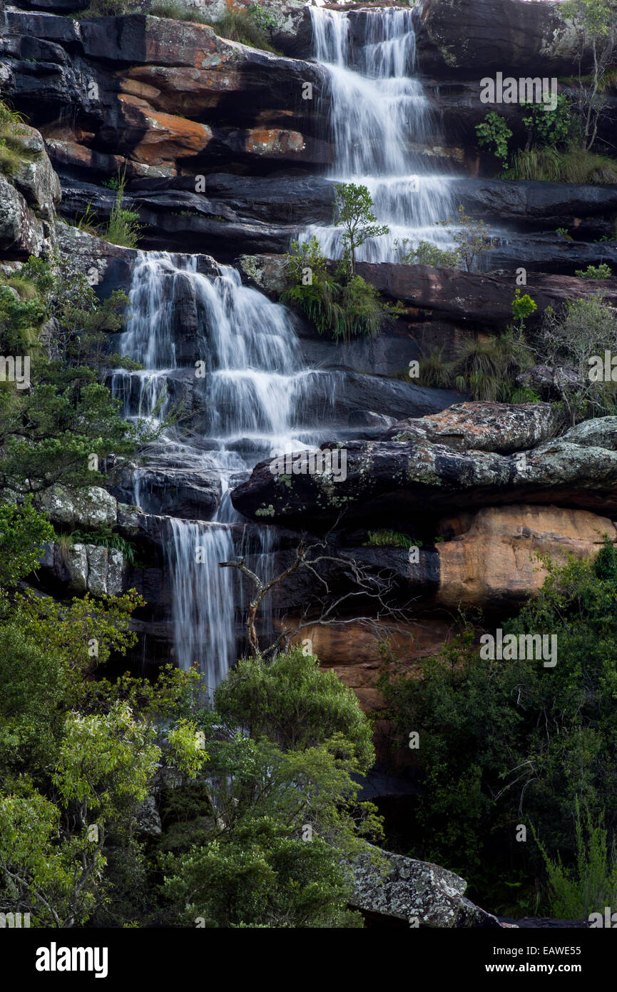 A waterfall cascading down a rocky forest escarpment. Stock Photo
