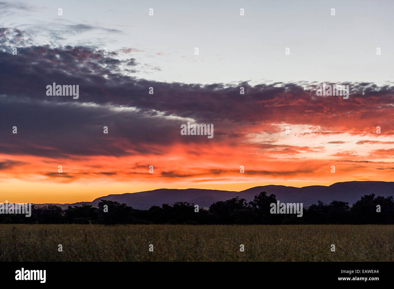A flaming sunset afterglow over a savannah plain of spear grass. Stock Photo